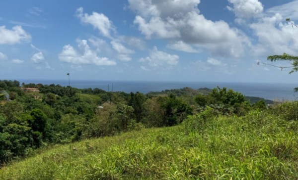 Anse-Bertrand